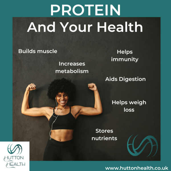 Protein and your health