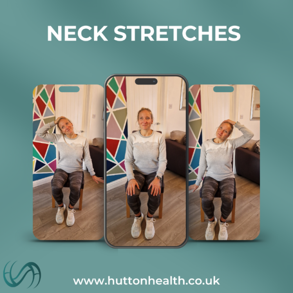 Neck Stretches